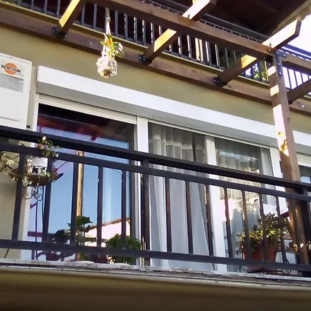 Sasa House