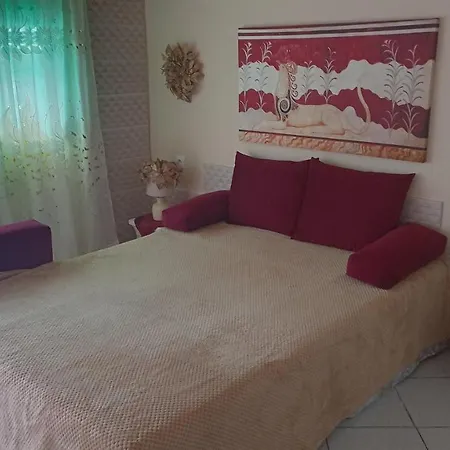Sasa House